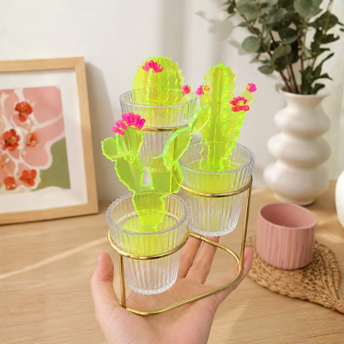 Decorative Perspex Cactus Set.