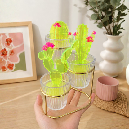 Decorative Perspex Cactus Set.