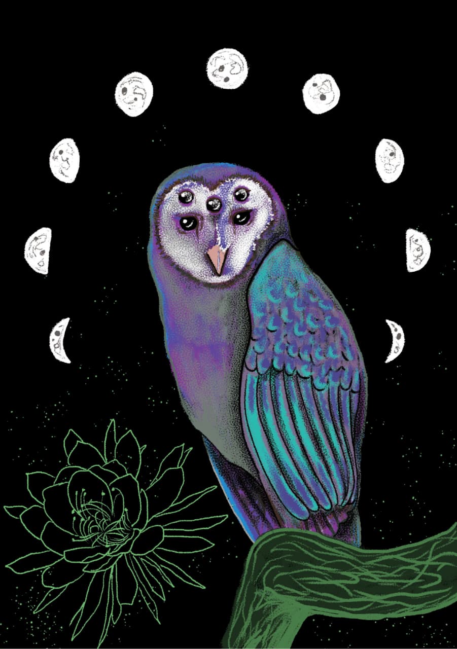 Custom Illustration & Character Design.